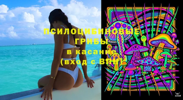 ПСИЛОЦИБИНОВЫЕ ГРИБЫ Аркадак